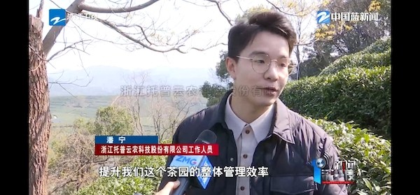 春茶開采正當時！揭秘托普云農如何用科技“制”出一杯數(shù)字好茶