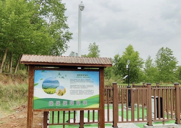 走進(jìn)國(guó)家級(jí)油菜夏繁基地，感受科技賦能蓬勃?jiǎng)?..