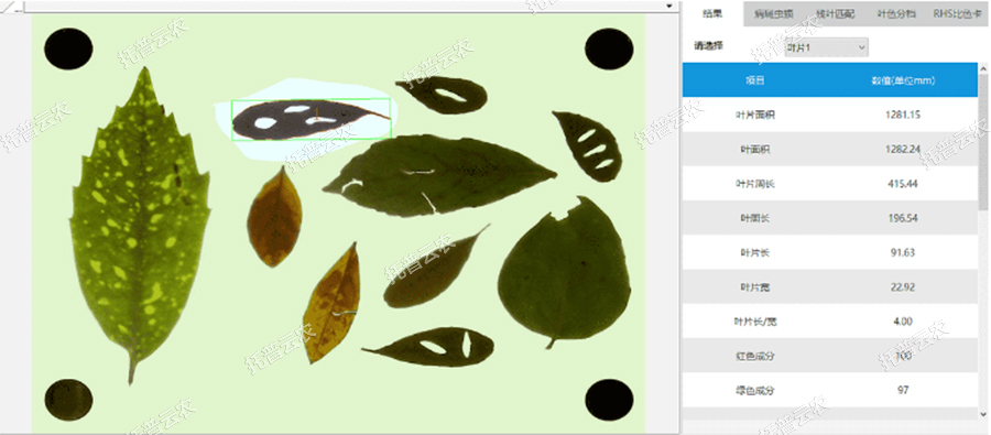 葉面積等結(jié)果界面