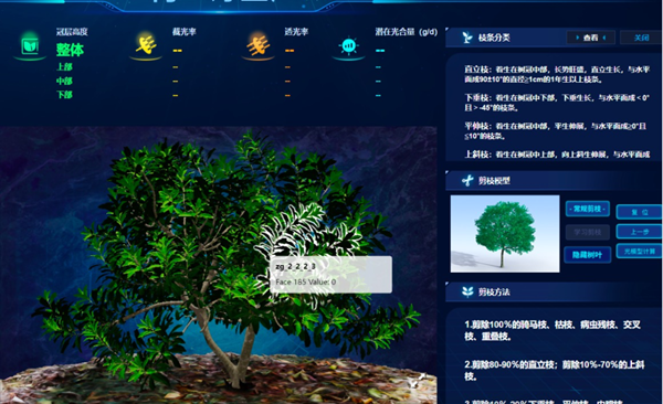 “云”上種顆楊梅樹，農(nóng)戶照著養(yǎng)楊梅