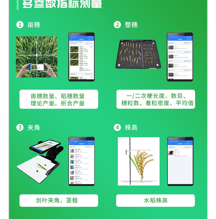 水稻表型檢測系統(tǒng)